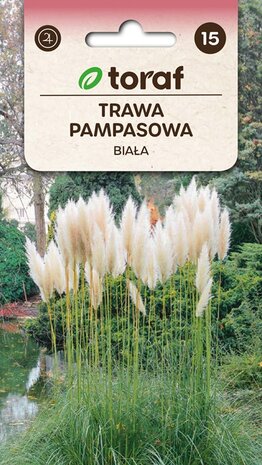 Wit pampasgras zaad bestellen, Cortaderia selloana | Moestuinland.nl
