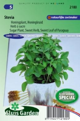 Stevia zaden kopen, honingkruid | Moestuinland