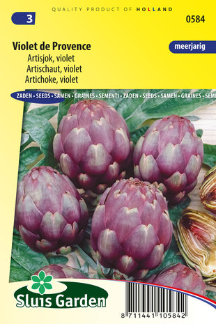Artisjok zaden kopen, violet paars Provence | Moestuinland