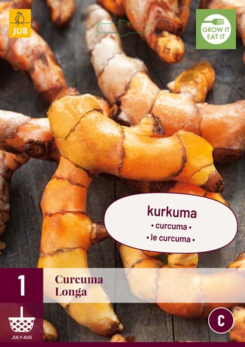 gesprek Beoordeling bijstand Kurkuma knol kopen, Curcuma longa (Geelwortel) | Moestuinland