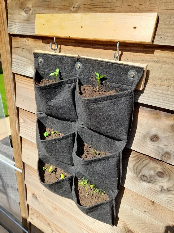 Verticale Tuin – 1 Witte Wandplanter Voor 6 Planten Met Sphagnum Mos – Binnen En Buiten, Inclusief Instructies