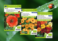 Bij-zondere bloemen Bij-zondere bloemen