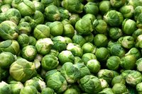 Spruitjes telen in de moestuin! Spruitjes telen in de moestuin!