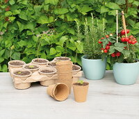 Welke groenten zijn het makkelijkst om zelf te kweken? (Top 10 voor beginners)