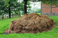 Natuurlijke bemesting! Natuurlijke bemesting!