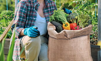 Wat kun je zaaien in augustus? [2025-editie]