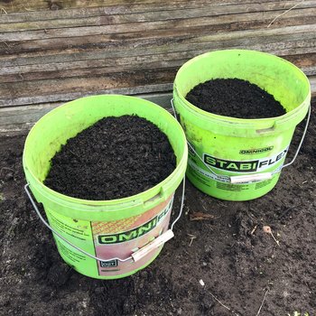 Moestuin-update 2