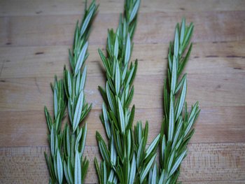 Kruidenreeks 4) Rozemarijn 