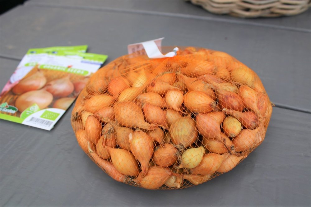 Plantuien, Sturon (500 gram)