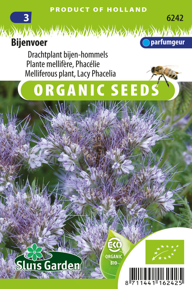 Groenbemester Phacelia | BIO