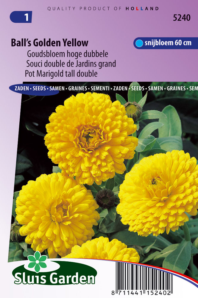 Goudsbloem zaden, Ball's Golden Yellow (Calendula)