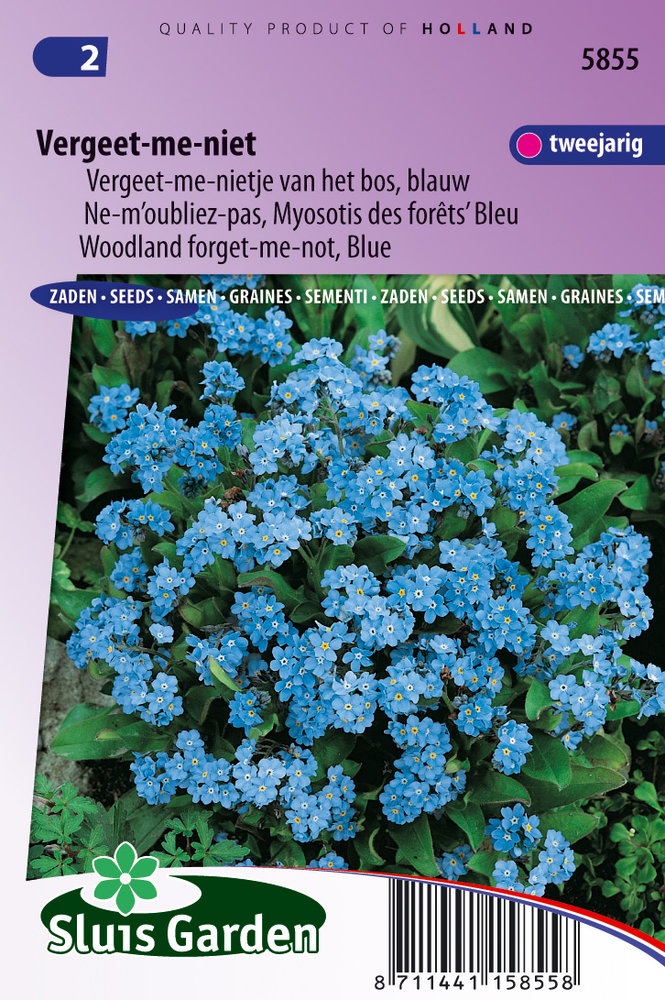 Vergeet-me-nietje zaden, Blauw (Myosotis)