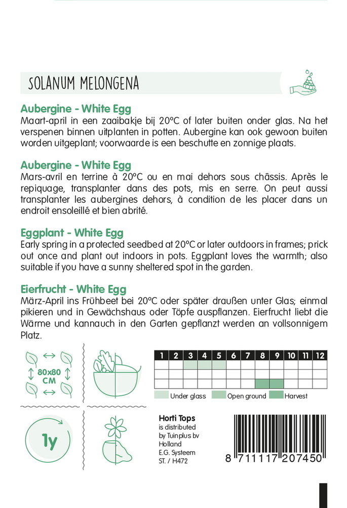 Aubergine zaden, White Eggs