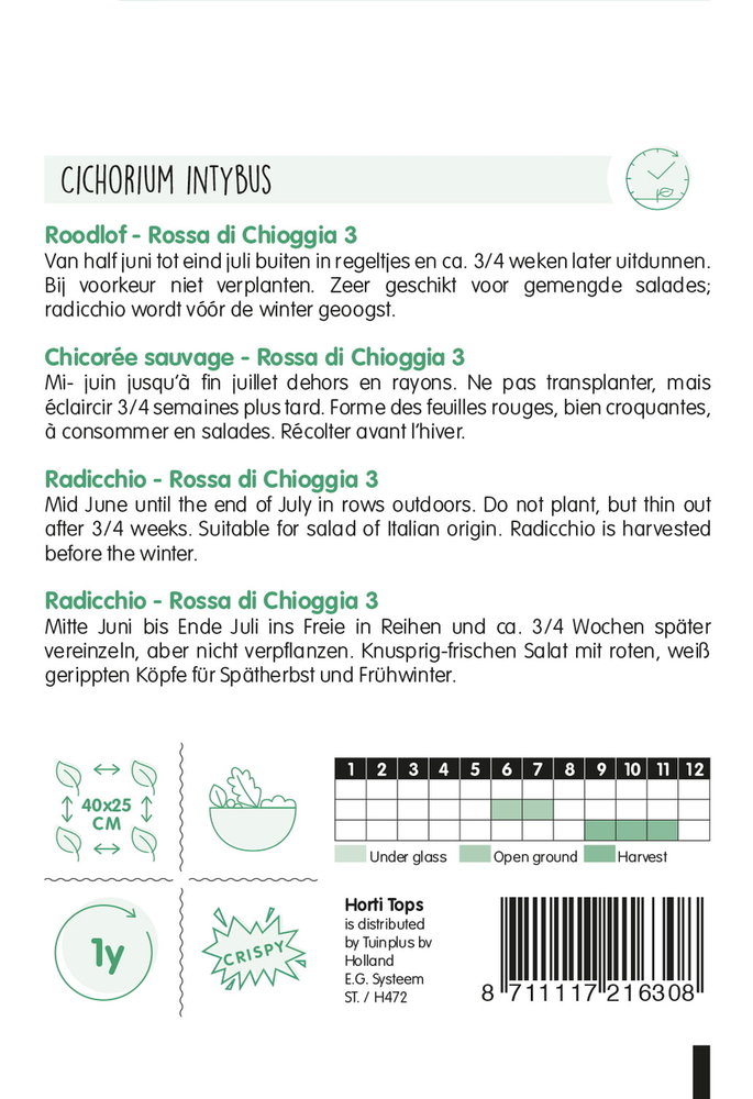 Roodlof zaden, Radicchio Rossa di Chioggia 3