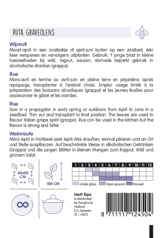 Wijnruit zaden, Ruta graveolens