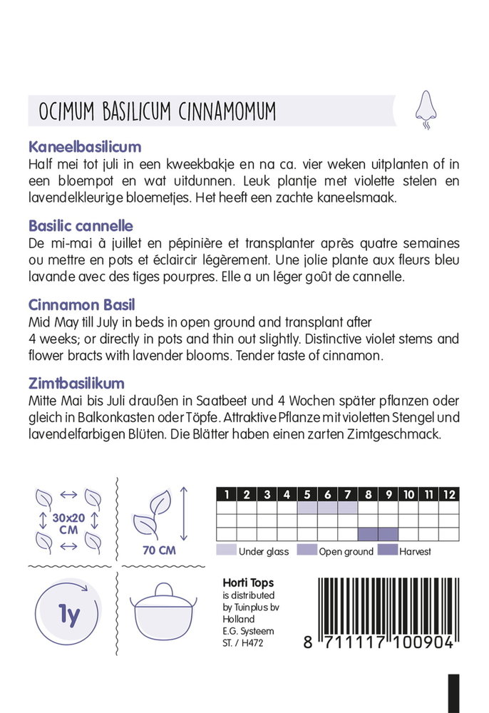 Basilicum zaden, Kaneel Ocimum basilicum cinnamomum