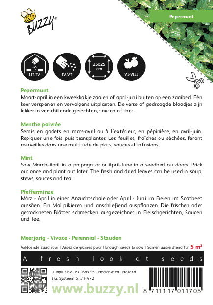 Munt zaden, Pepermunt