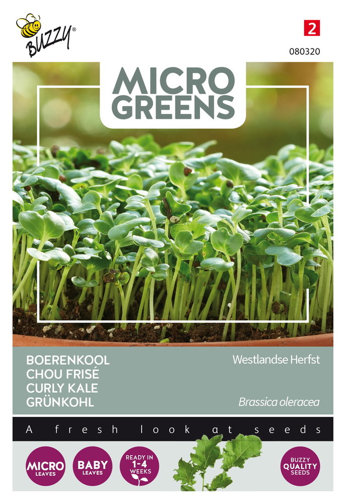 Boerenkool Zaden, Micro Greens (Westlandse)