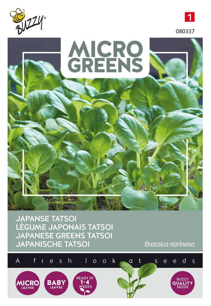 Japanse Tatsoi Zaden, Micro Greens