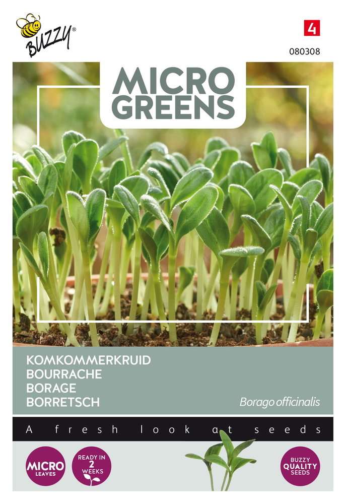 Komkommerkruid Zaden, Micro Greens 