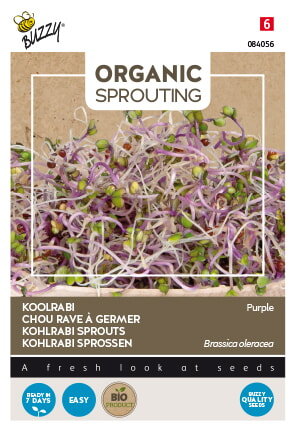 Koolrabi Zaden, Organic Sprouting | BIO