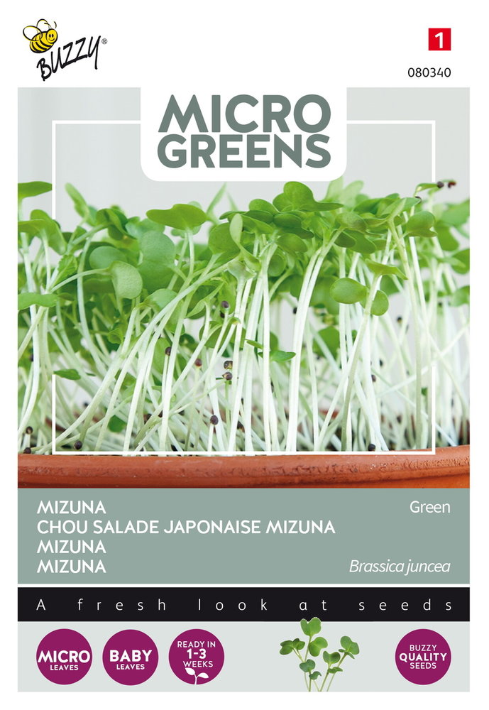 Mizuna Zaden, Micro Greens