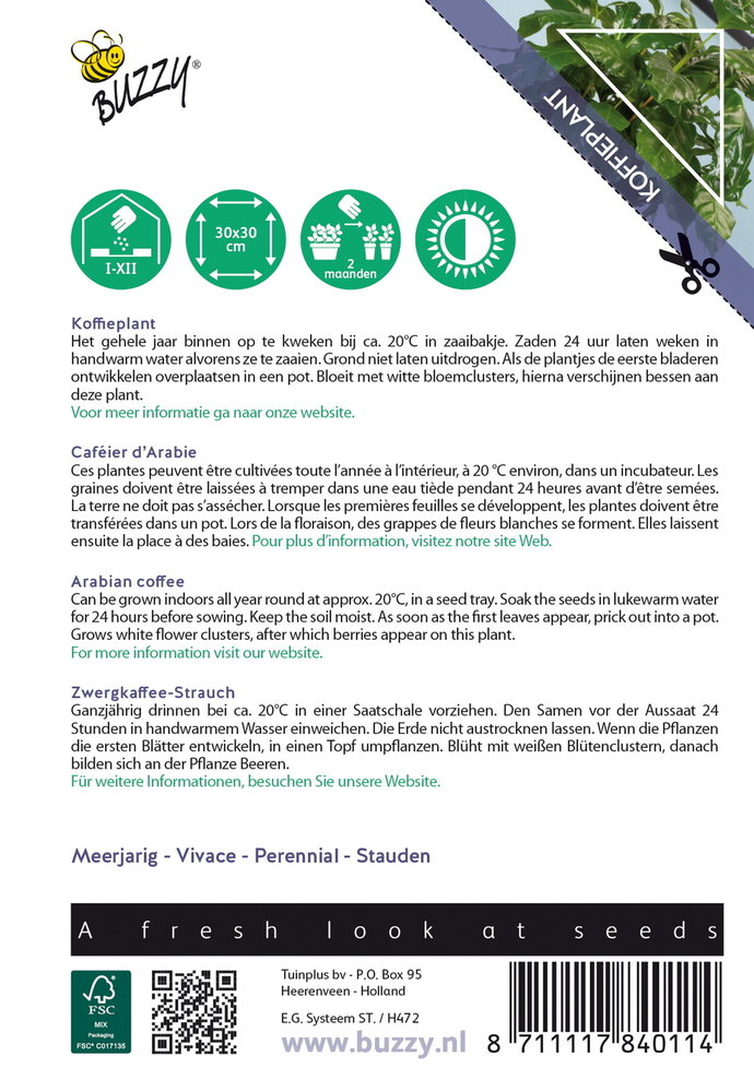 Koffieplant zaden, Coffea Arabica nana