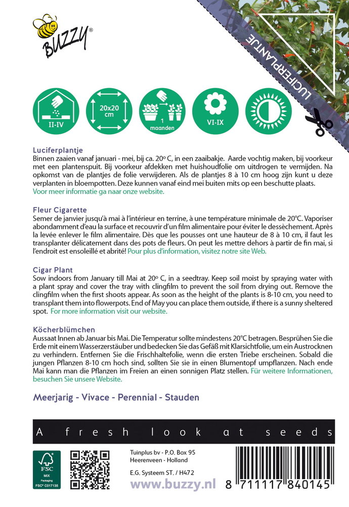 Luciferplant zaden, Cuphea ignea