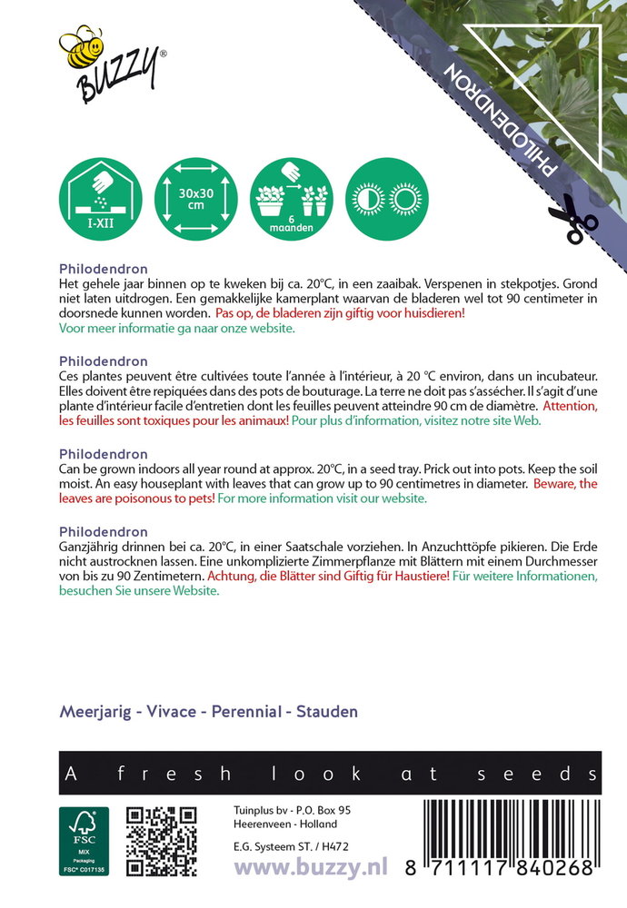 Philodendron zaden (Philodendron Selluom)