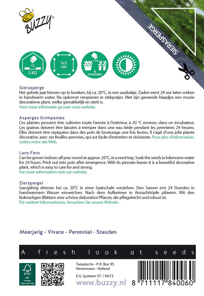 Sierasperge zaden, Asparagus plumosus nanus