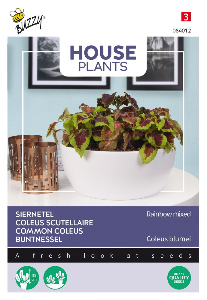 Siernetel zaden, Coleus blumei (Rainbow mix)