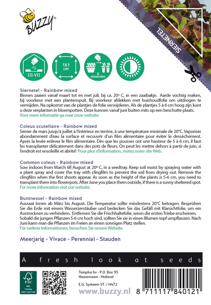 Siernetel zaden, Coleus blumei (Rainbow mix)