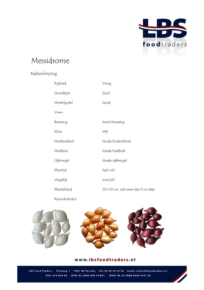 Winter Knoflook, Messidrome-Germidour (5 bollen) 