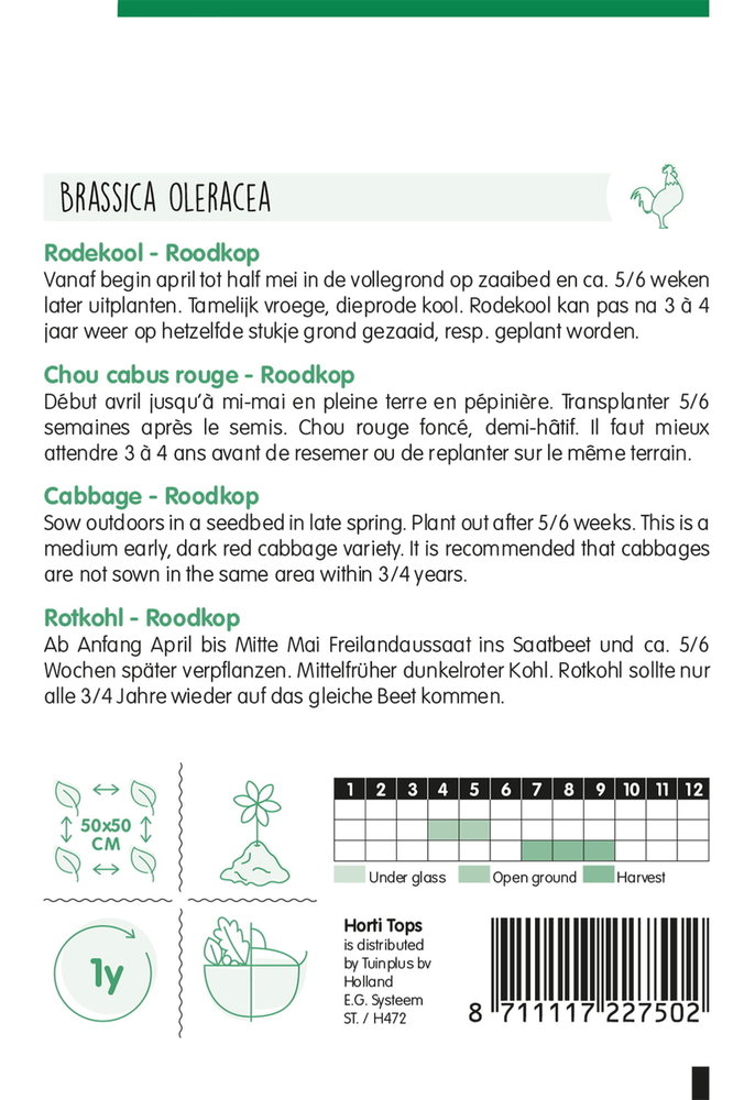 Rode Kool zaden, Roodkop (Rodekool)