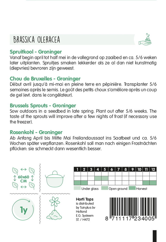 Spruitkool zaden, Groninger (Spruitjes)