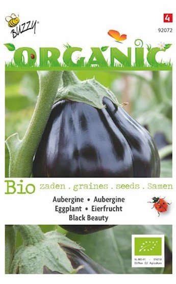 Zullen Vroegst B.C. Aubergine zaden kopen, Biologisch Black Beauty | Moestuinland