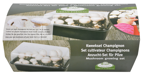 Champignon kweekset, Witte paddenstoel