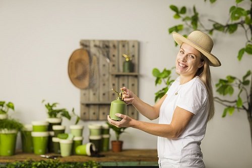 Plantensproeier, Vintage (groentinten)