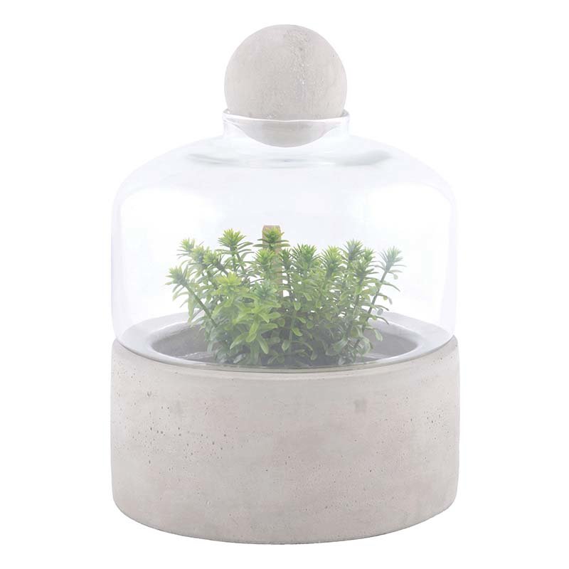 Kweekfles terrarium, Beton schaal (Esschert Design)