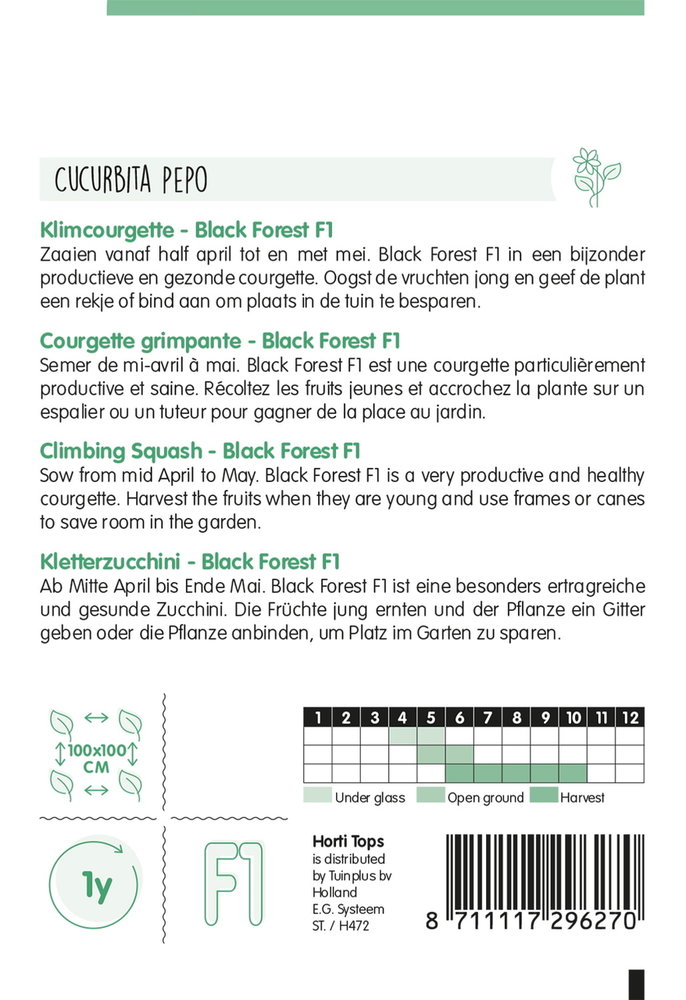 Courgette Zaden, Klimcourgette Black Forest F1 (Klimplant)
