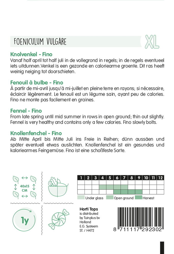 Knolvenkel Zaden, Fino XL
