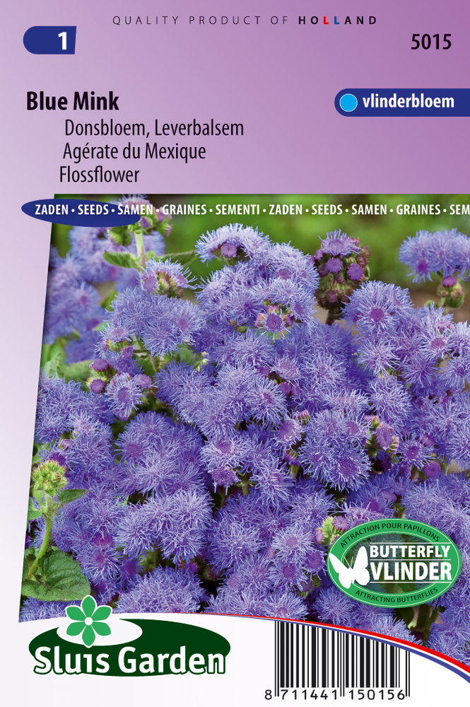 Mexicaantje Zaden, Donsbloem Blue Mink (Ageratum)