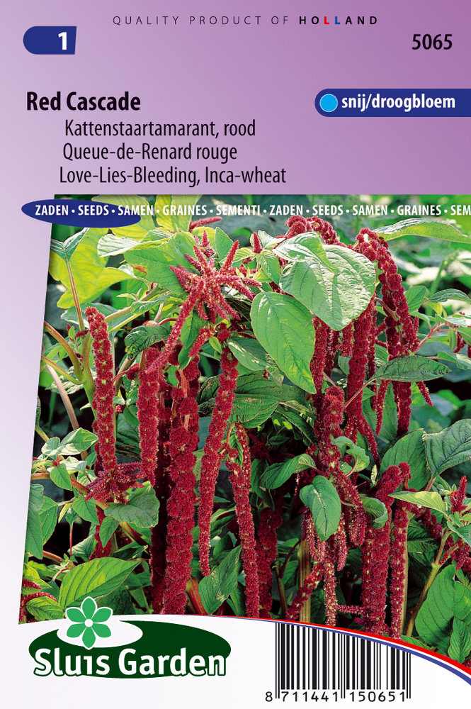 Kattenstaart Zaden, Rood Cascade Red (Amaranthus)