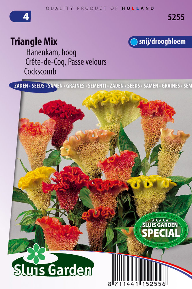 Hanenkam zaden, Triangle mix (Celosia)