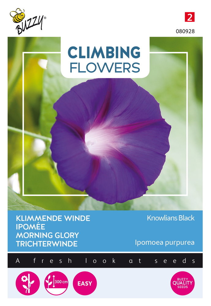 Klimmende Winde Zaden, Ipomoea purpurea