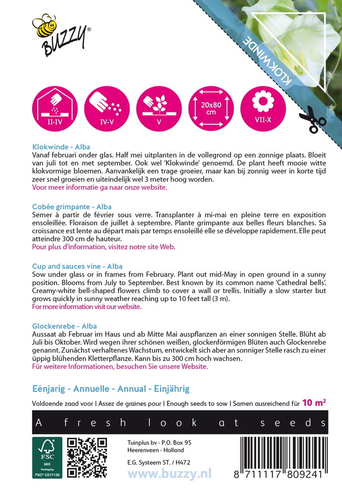 Klokwinde Zaden, Cobaea scandens (Alba)