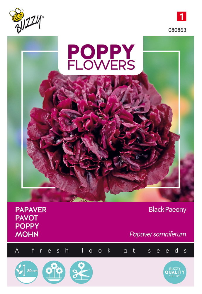 Papaver Zaden, Papaver somniferum (Black Paeony)