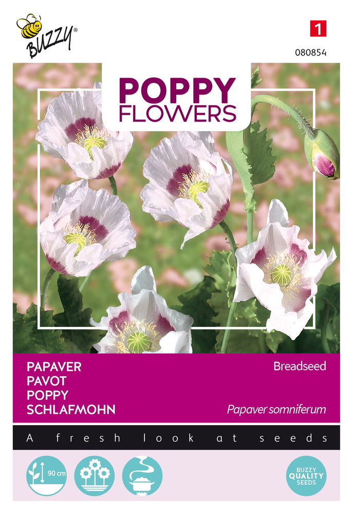 Papaver Zaden, Papaver somniferum (Breadseed)