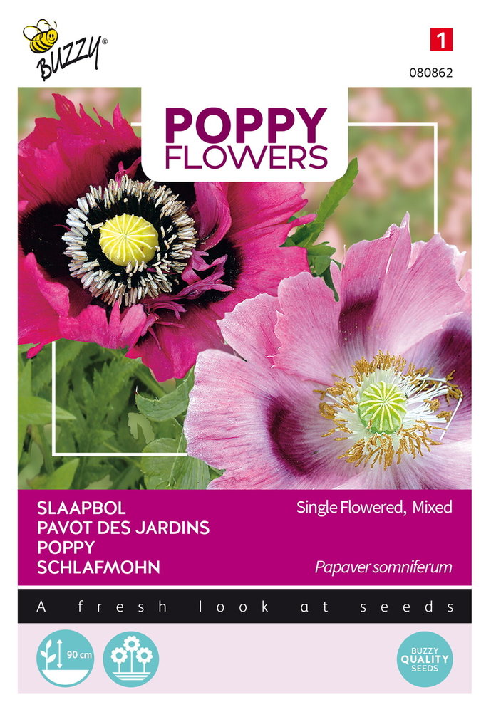 Slaapbol Zaden, Papaver somniferum (Single Flowered)