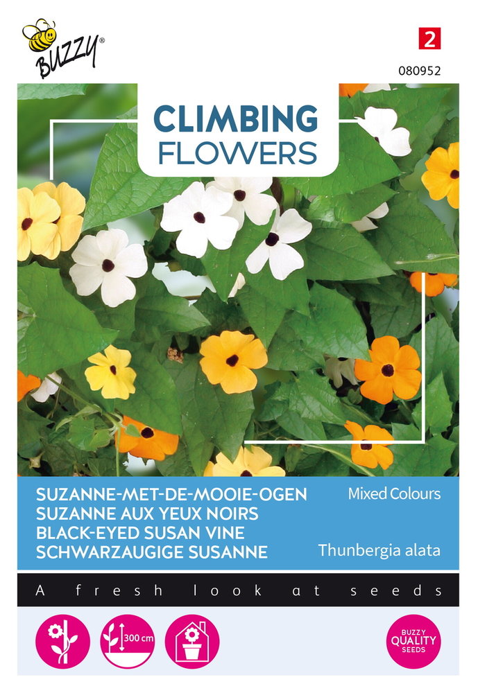 Suzanne-met-de-mooie-ogen Zaden, Thunbergia alata (Mix)